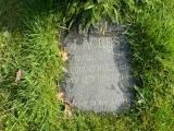 image number Acres Basil J   569